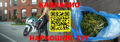 индика Дубна