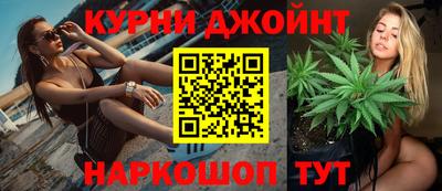 индика Дубна