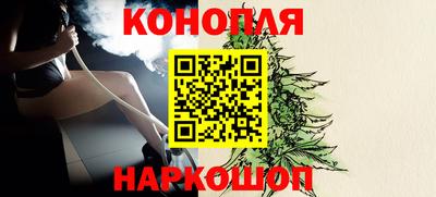индика Дубна