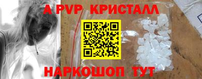 индика Дубна