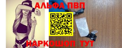индика Дубна