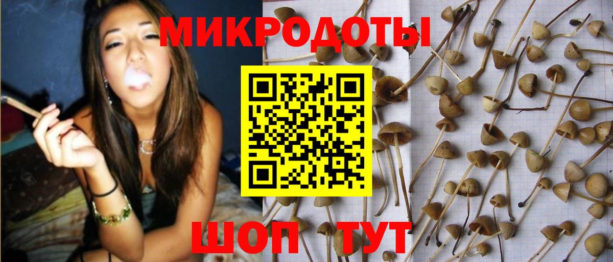 Кыштым  Галлюциногенные грибы Magic Shrooms  Вход с VPN 